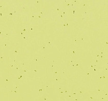 Линолеум Forbo Sphera Energetic 50213 spring фото 1 | FLOORDEALER